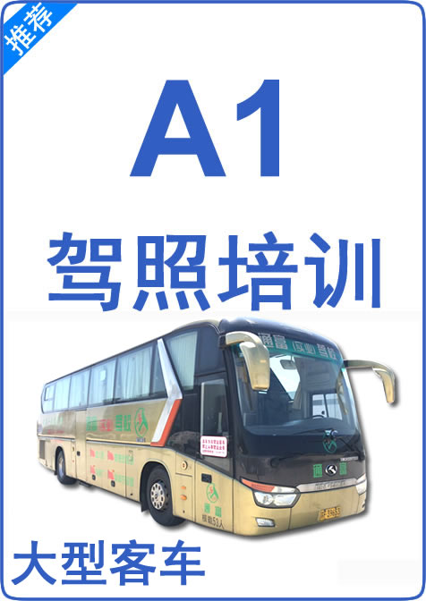 A1驾驶证培训